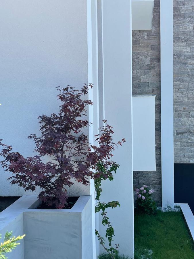 Villa Pine Bar Eksteriør billede